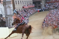 Palio di Siena July 2 to August 16 every year