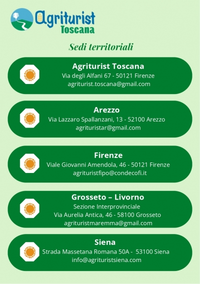 Dove siamo